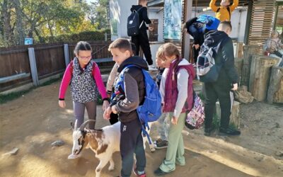 Cserkészeink a pécsi állatkertben / Izviđači posjetili ZOO vrt u Pečuhu