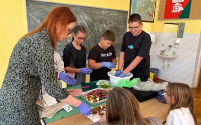 Predavanje i kušanje u okviru provedbe projekta Školska shema voća i povrća te mlijeka i mliječnih proizvoda / Előadás és kóstoló az Iskolai Gyümölcs- és Zöldségprogram, valamint a Tej- és Tejtermékek projekt megvalósításának keretében