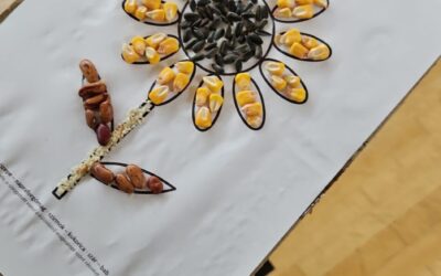 Kenyérnap és hálaadás a föld gyümölcseiért / Dan kruha i zahvalnosti za plodove zemlje